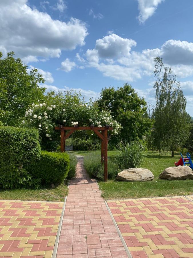 Penzion Labska Vyhlidka Litoměřice エクステリア 写真